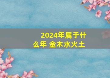 2024年属于什么年 金木水火土